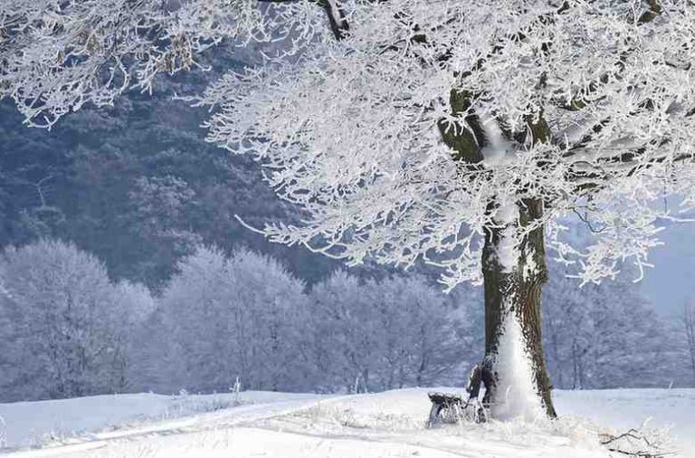 सर्दियों में स्वस्थ रहने के 5 आसान उपाय